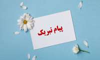 درخشش دستیاران تخصصی بالینی دانشگاه علوم پزشکی البرز در آزمون بورد تخصصی کشور 